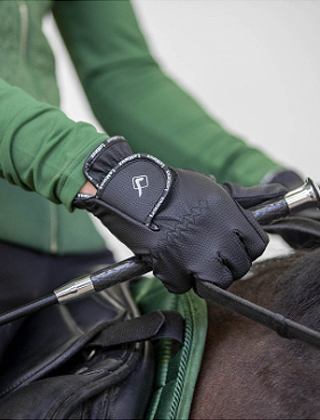 Gloves & Whips Gloves & Whips