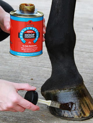 Hoof Care Hoof Care