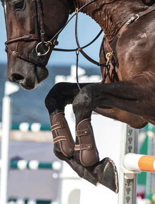 Hooves Hooves