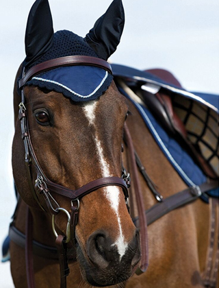Horse Accessories Horse Accessories