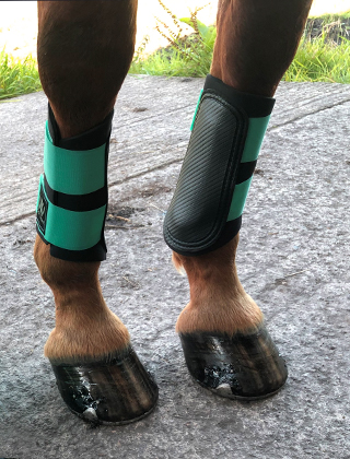Horse Boots Horse Boots