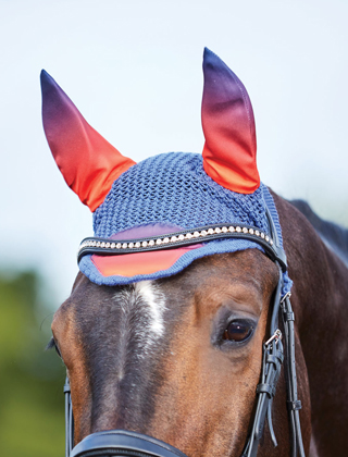 Horse Wear Horse Wear