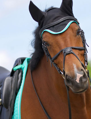Saddlepads & Veils Saddlepads & Veils