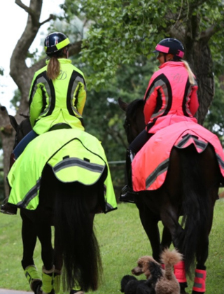 Safety Wear Safety Wear