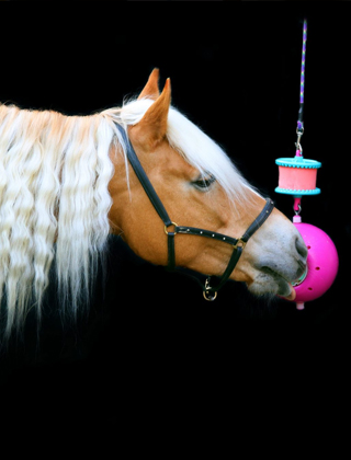 Stable Stable