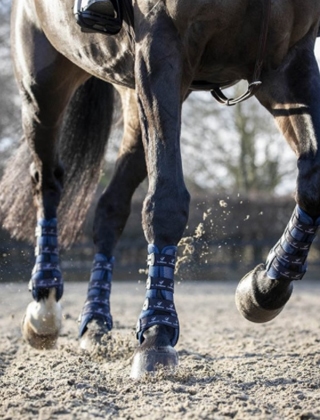 Horse Boots Horse Boots