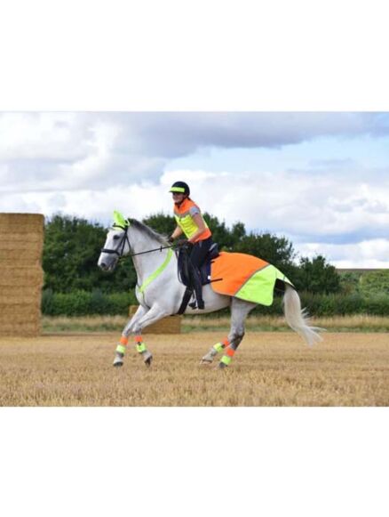 Equisafety Multi Coloured Waterproof Hi Viz Horse Sheet- Yellow/Orange 