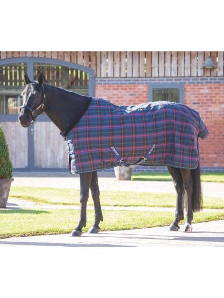 Shires Tempest Plus 100 Stable Rug-Green Check