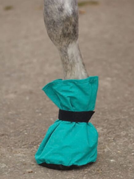 Hoof It Poultice Boot