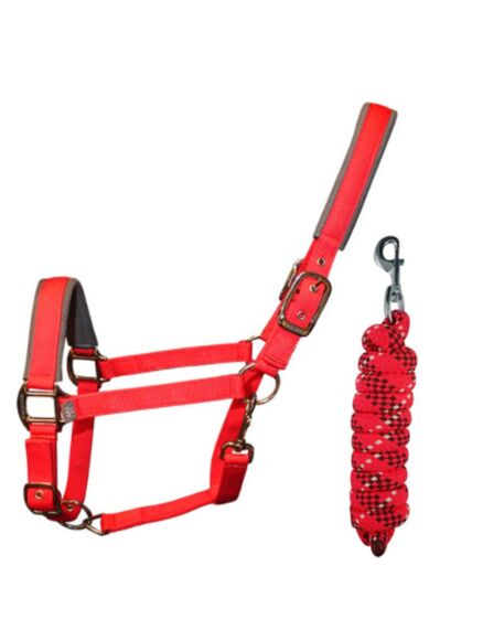 Woof Wear Contour Head Collar & Lead Rope- Royal Red