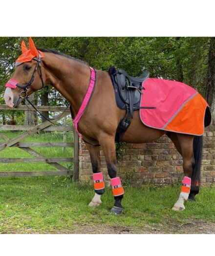 Equisafety Multi Coloured Waterproof Hi Viz Horse Sheet- Pink/Orange 