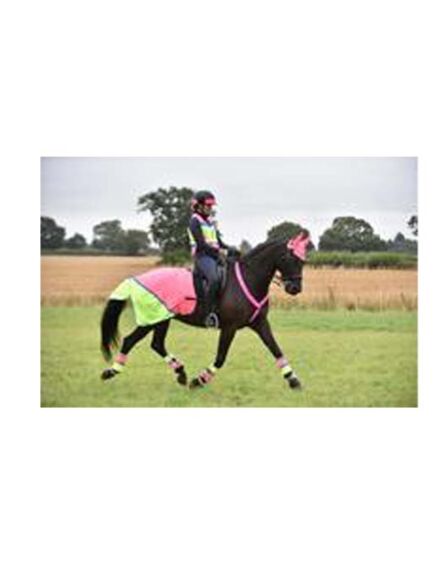 Equisafety Multi Coloured Waterproof Hi Viz Horse Sheet Pink/Yellow