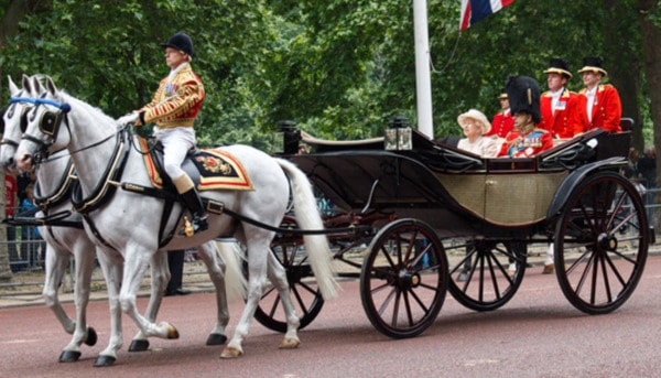 Prince Philip: Equestrian Life